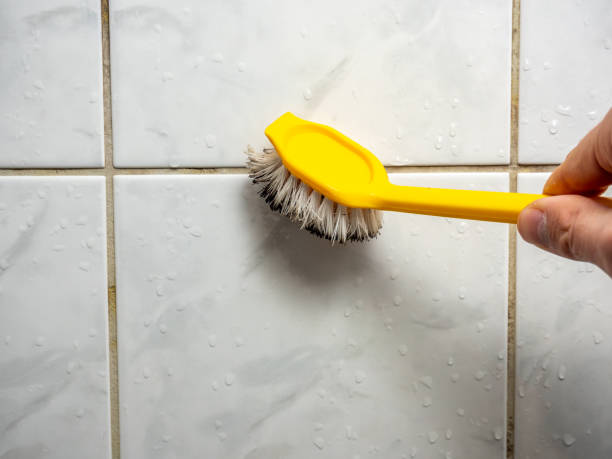Best Attic Mold Removal  in Lowry Crossing, TX