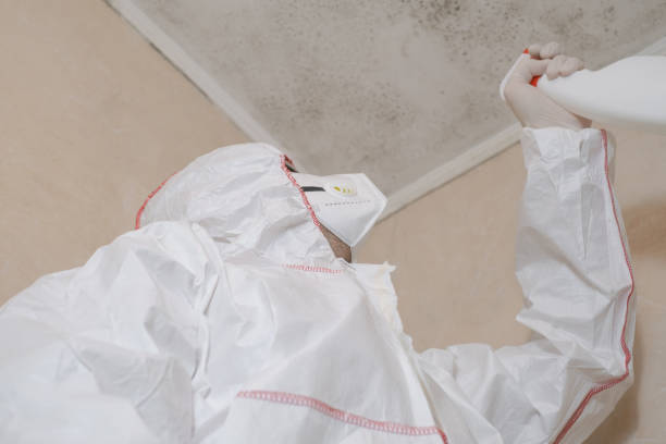 Best Crawl Space Mold Removal  in Lowry Crossing, TX