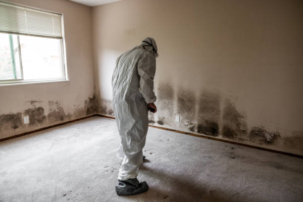 Best Mold Testing  in Lowry Crossing, TX