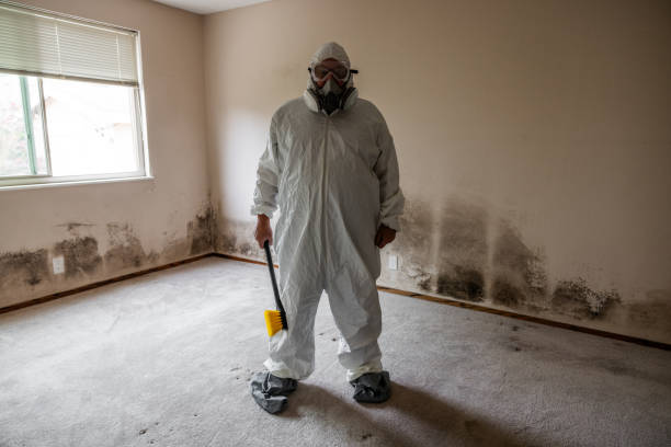 Best Certified Mold Removal  in Lowry Crossing, TX
